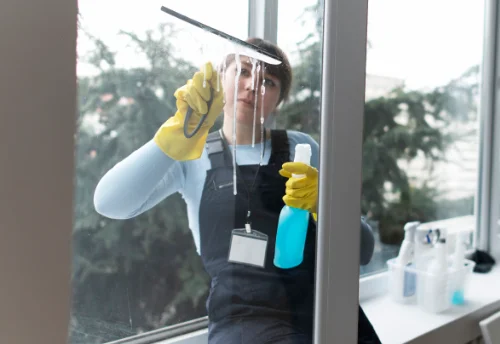 Nettoyage de vitres intérieures et extérieures à Rogny-les-Sept-Écluses